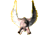 pigfly.gif
