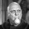 fester.png