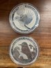 Kookaburra Obverse.jpg