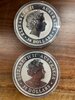 Kookaburra Reverse.jpg