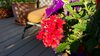 20140611_191241.jpg