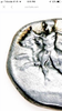 AC9DC463-7A43-4CF0-A7BF-CB6E89B91085.png