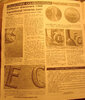 DSC00589a.jpg