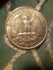 Magnifier_20220310_173138.jpg