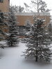 20220310_093306[1].jpg