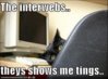 the-interwebs.jpg