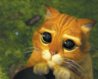 puss in boots2.jpg