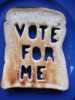 vote-for-me.jpg