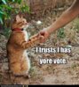 funny-pictures-i-trusts-i-has.jpg