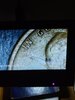 20220327_181520.jpg