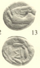 BCD Pelopennesos Sikyon AE 328-11 Ex Noble Ex LHS Ex Forum Warren Plate Coin.png