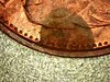 PICA2179.jpg