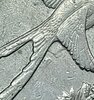 20220405_215001.jpg