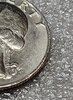 20220412_121154.jpg