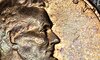 20220413_140306.jpg