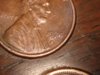 DSC07045.jpg