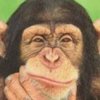 thoughtfulchimps.jpg