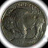 1913 buffalo revese.JPG