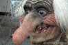 1310726634HRQpon.jpg