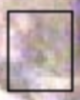 upload_2022-4-24_12-32-7.png