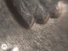 IMG_20220428_231253553.jpg