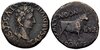 normal_AUGUSTUS.jpg