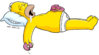 homer_sleeping.jpg