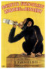 anisetta-evangelisti-liquore-da-dessert.jpg