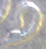 Pic 6.jpg