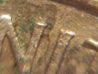 quarters 022.jpg