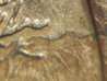 quarters 023.jpg