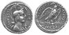 plaetorius_cestianus_Cr409.1_neu.jpg