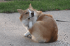 958952dc13aada769262b41a45a7c68f.gif