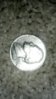 2012-03-05_15-51-15_191.jpg