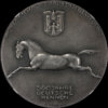 1936_AU55_Horse_Medal_Germany_Munich_obv.jpg