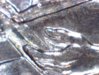 Image186.jpg