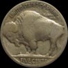 1925Buffalo1Reverse.jpg