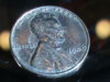 DSC01665.JPG