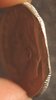 ccf 1989 P 10C incomplete planchet angle above.jpg
