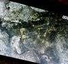 20220721_212931.jpg