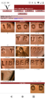Screenshot_20220807-161639.png