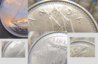 Canada-10Cents-DoublingReverse-P13.jpg