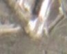 Canada-10Cents-DoublingReverse-UltraZoom2.jpg