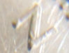 Canada-10Cents-DoublingReverse-UltraZoom1.jpg