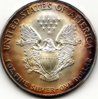 Toned American Eagles_0009.jpg