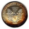 Toned American Eagles_0007.jpg