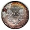 Toned American Eagles_0006.jpg
