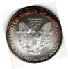Toned American Eagles_0008.jpg