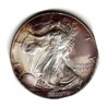 Toned American Eagles_0004.jpg