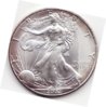 Toned American Eagles_0003.jpg